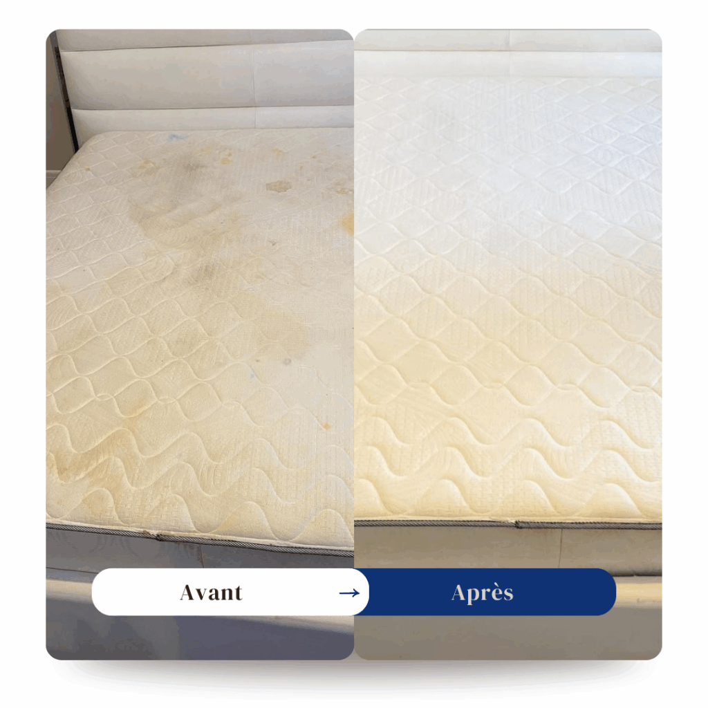 Avant_20250322_171206_0000-1024x1024