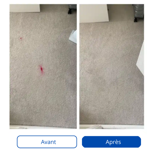 avantaprès moquette